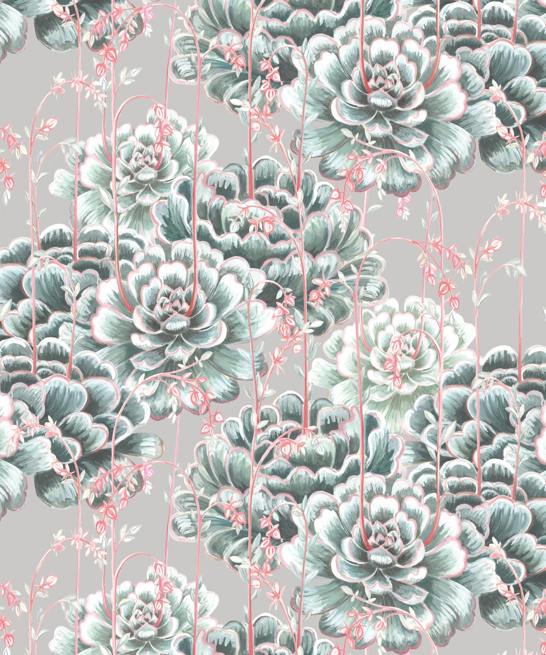 Succulents Wallpaper • Stunning Cactus Design • Milton & King