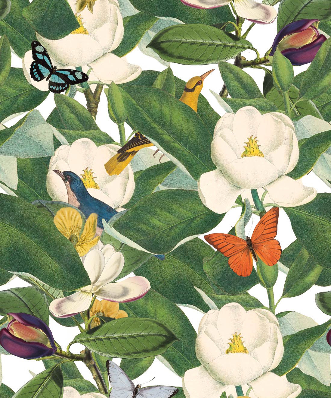 Dubbelzinnig Mentaliteit verteren Magnolia Bloom Wallpaper • White Floral Wallpaper • Milton & King USA