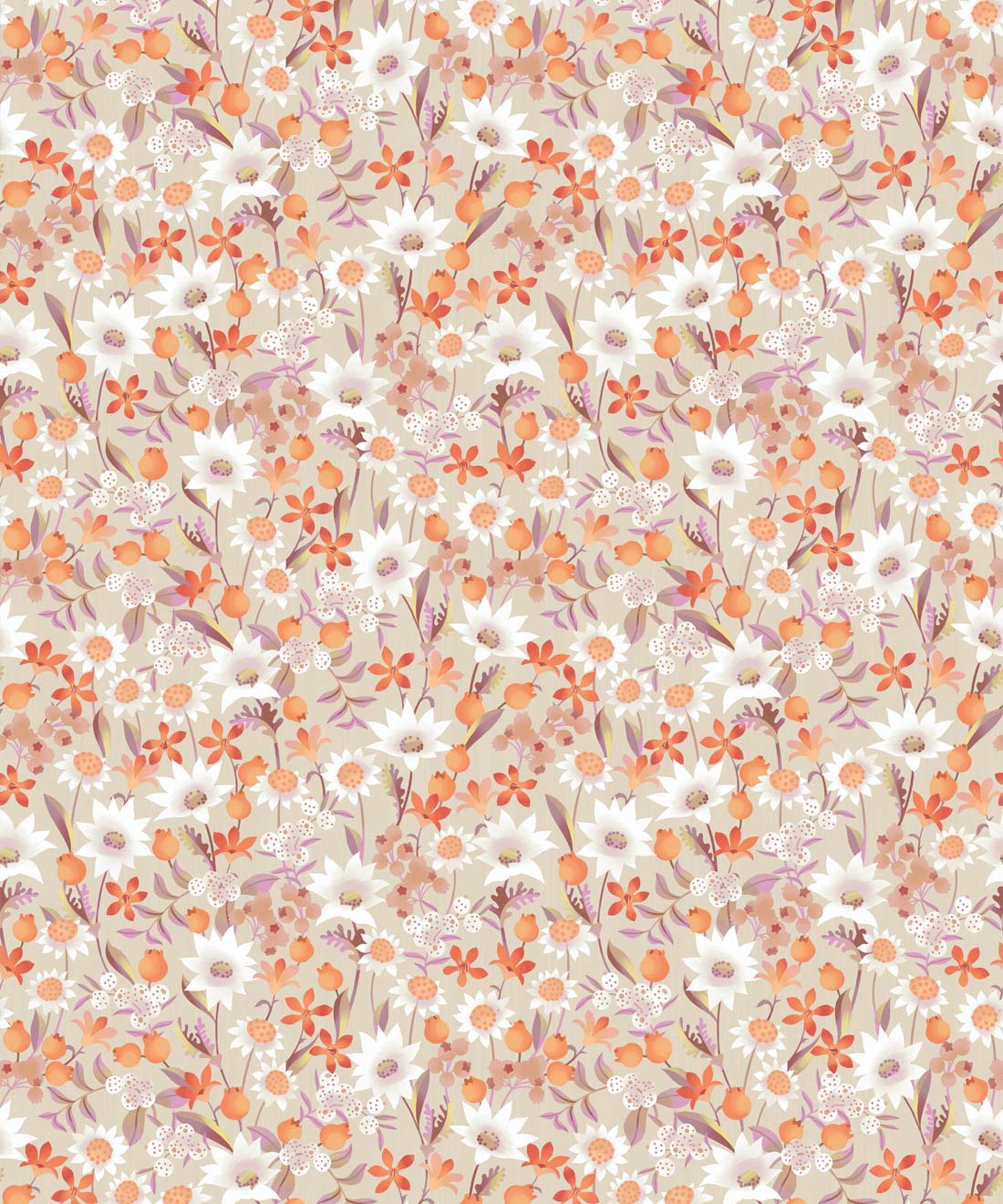 Flannel Flowers Wallpaper • Small Australian Flora • Milton & King