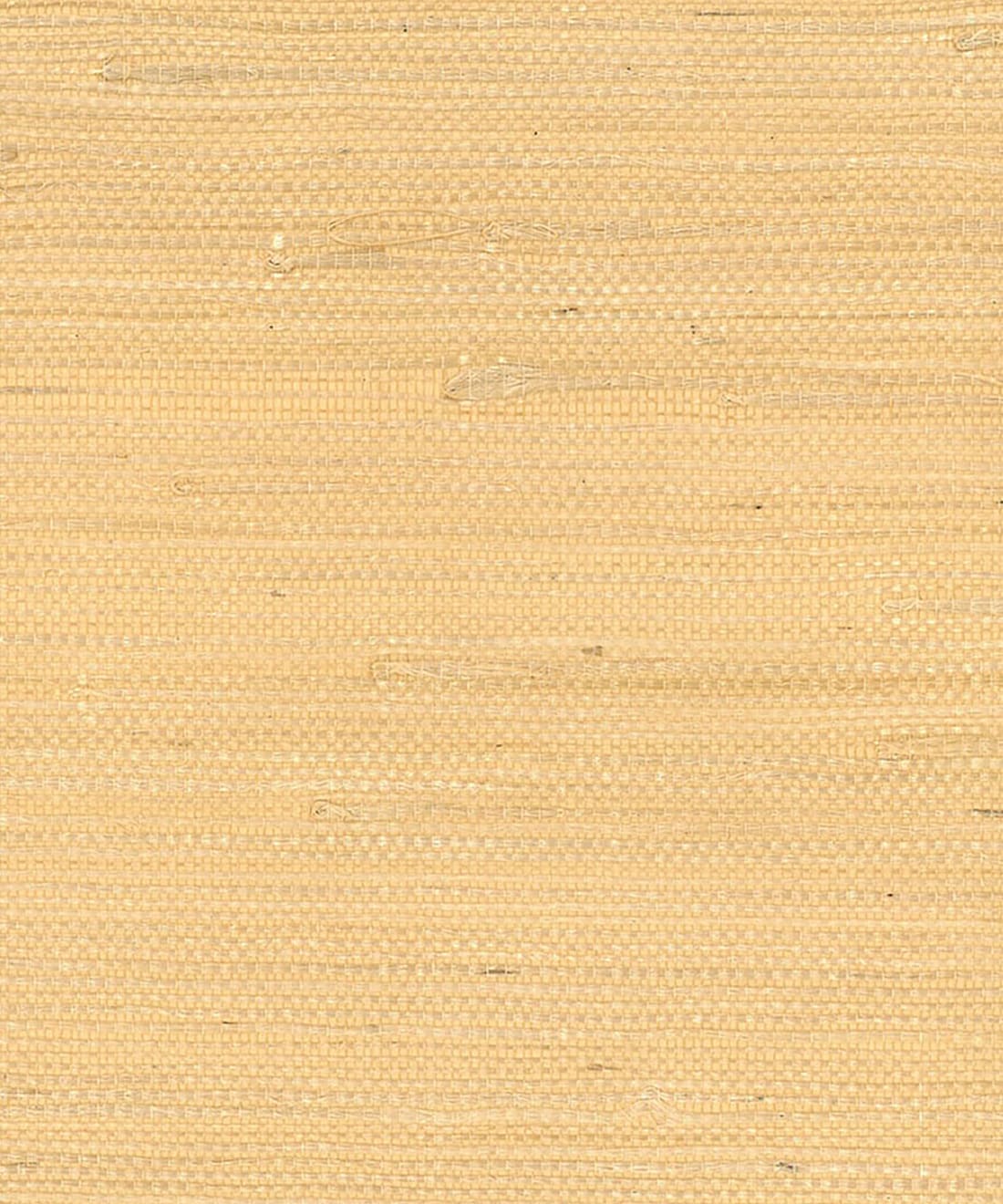 Bamboo Wallpaper • Milton & King
